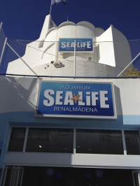 Sea Life Aquarium Benalmadena